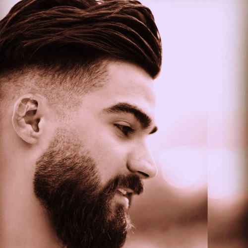 حمیدرضا بابایی شاه نشین